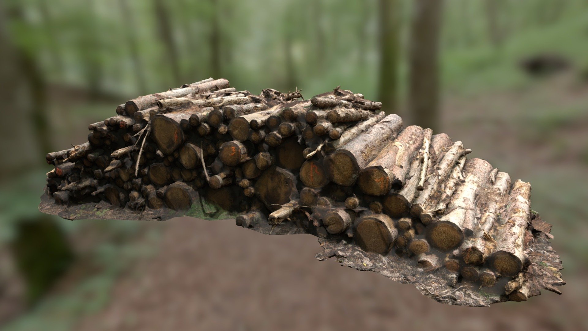 Stack of Wood / Holzpolter 4K Textures