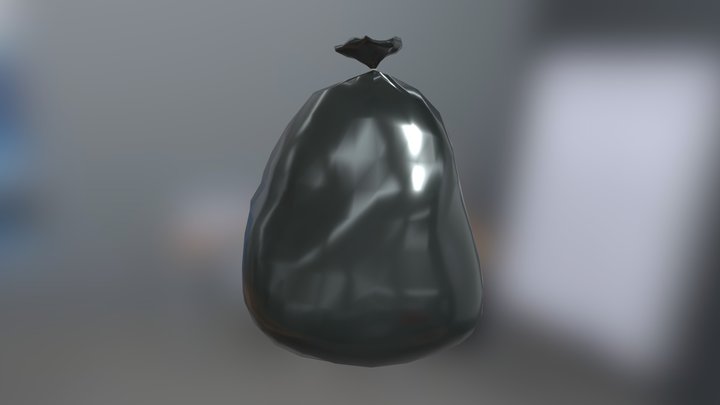 Trash Bag 3D Model