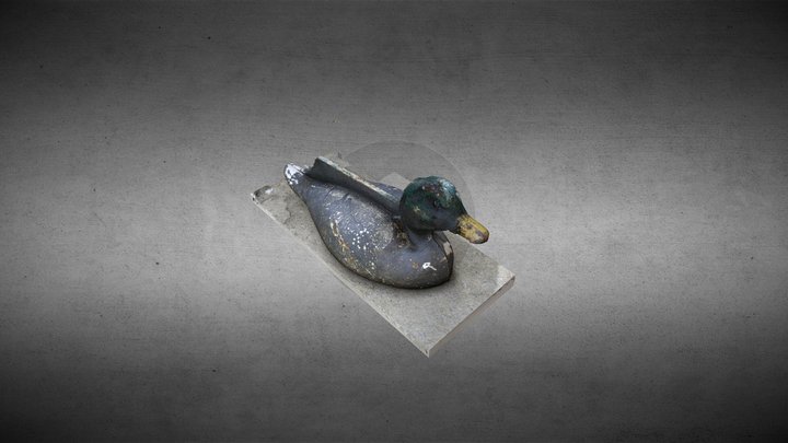 A Duck 3D Model