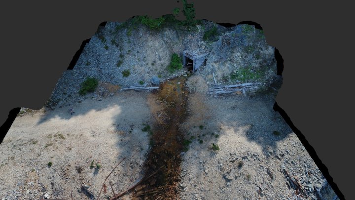 Champion Mine - Upper Adit 3D Model