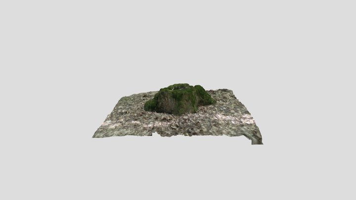 Stump_01 – Kostenloses 3D-Modell STL