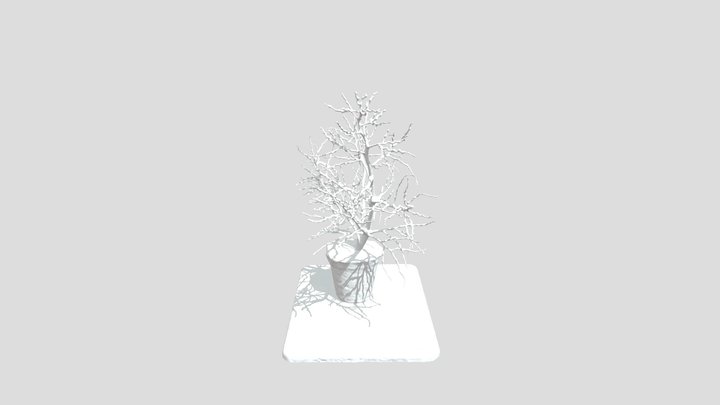 White Branch 3D Model