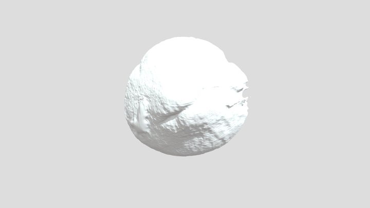 Corales3D 3D Model