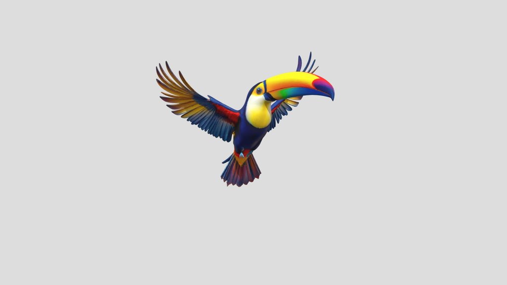 Colorfull Bird Flying