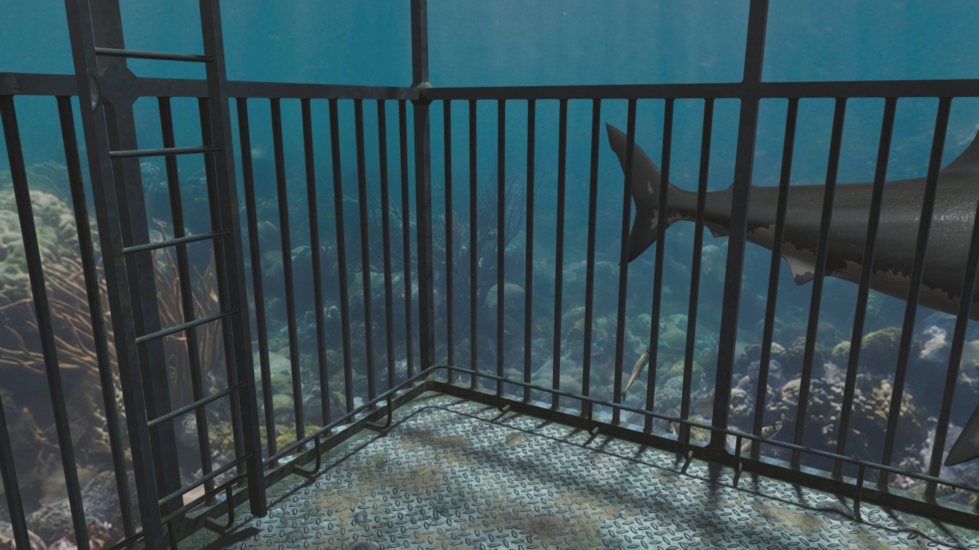 Shark Cage Download Free 3D model by Vince_Crusty (vince.trust) [e7a6f2b] Sketchfab