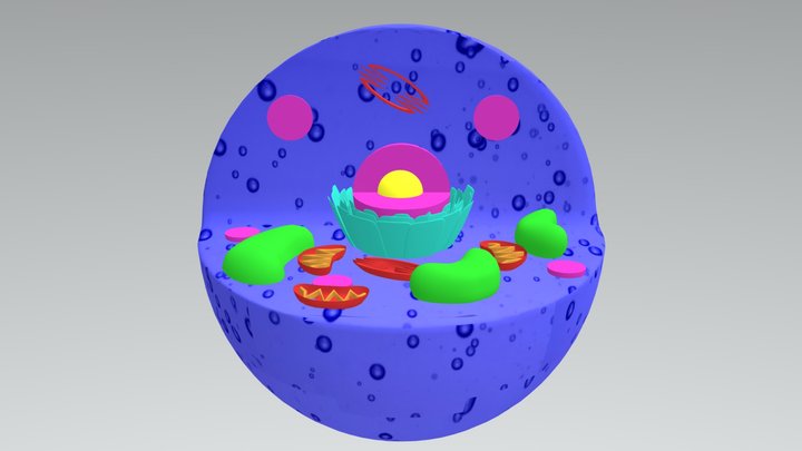 Célula 3D Model