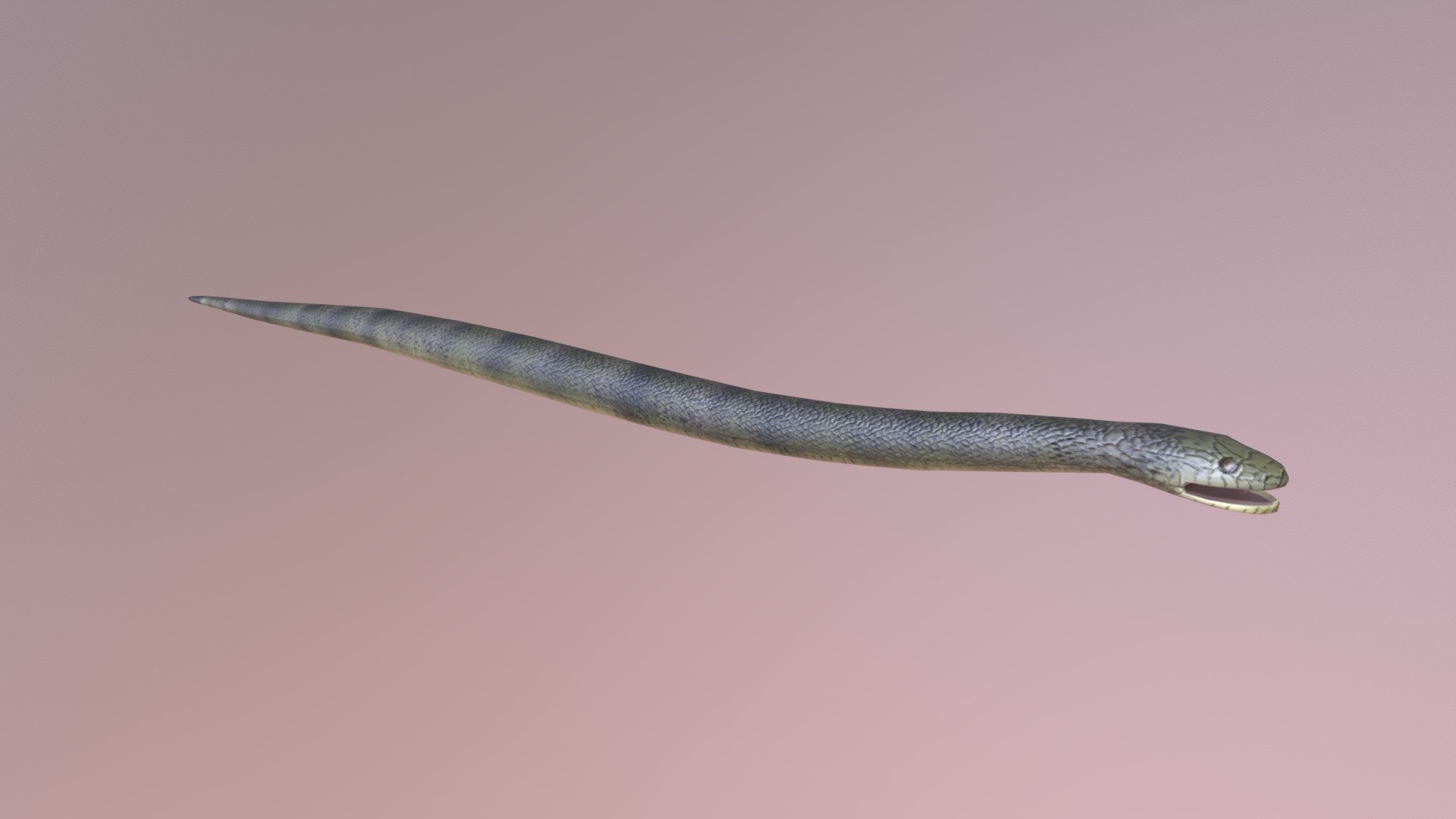 Google Snake - 3D model by Pokych Adams [b16ad42] - Sketchfab