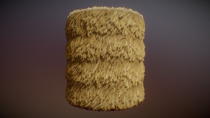 Straw Roof 3D Model