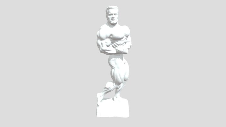NeoMetrix Bodybuilder Scan Data Mm Decimated 3D Model