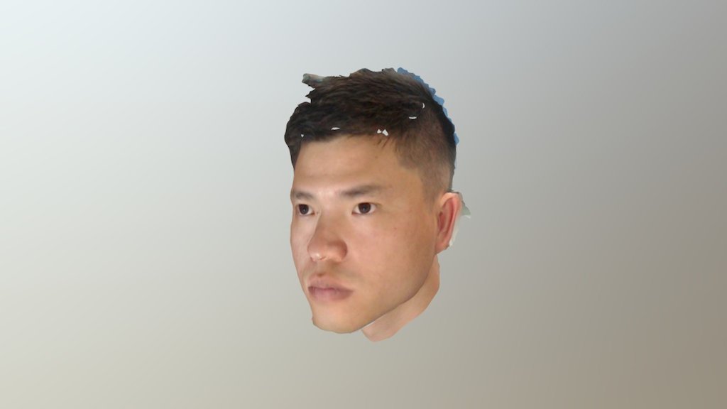 3D Head Scan (Meiya)