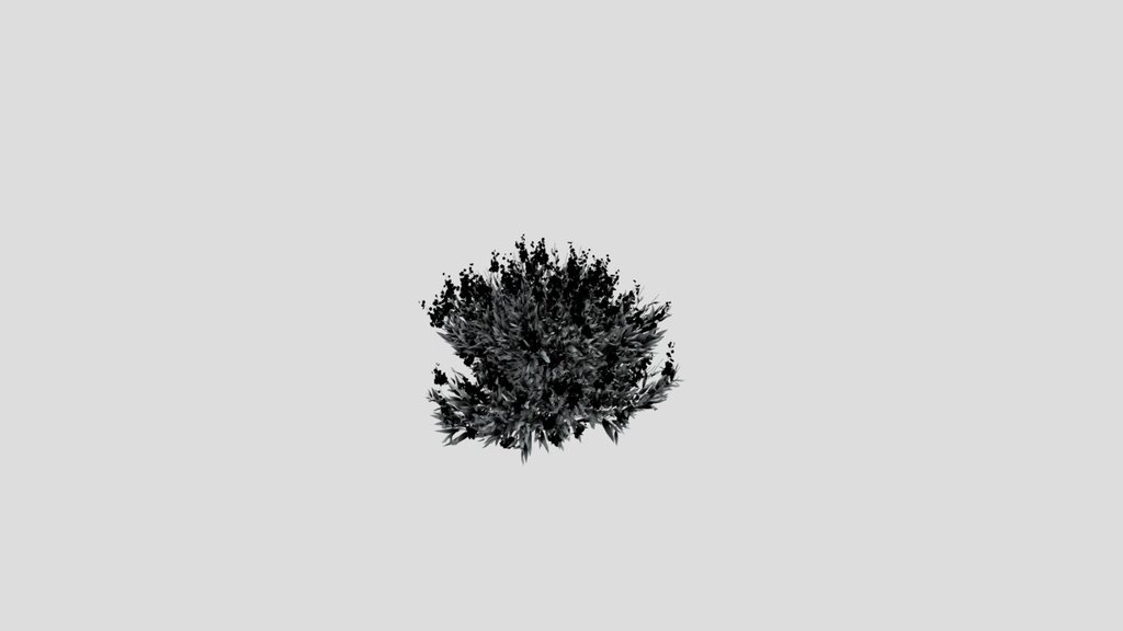 Shurb Caryopteris Bluebeard Animated