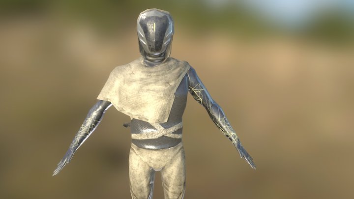 Character globetrotter (low-poly) 3D Model