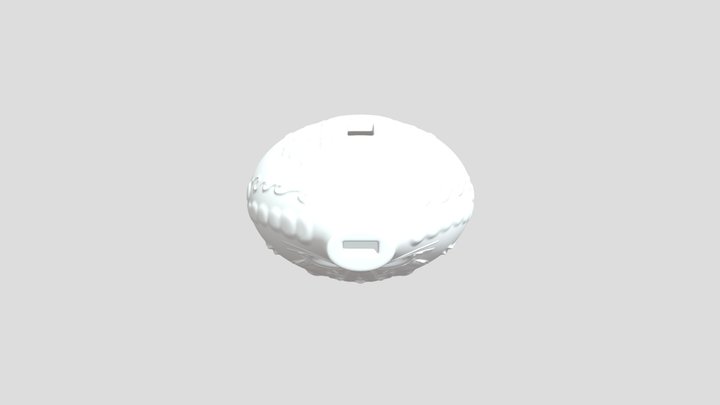 My model 3D Model