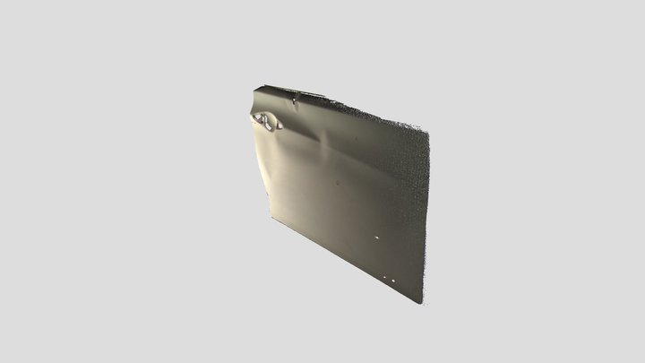 Door Panel: Damaged Surface (3D Deviation Scan) 3D Model