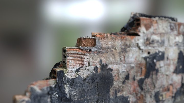 Damaged wall / RealityScan 3D Model