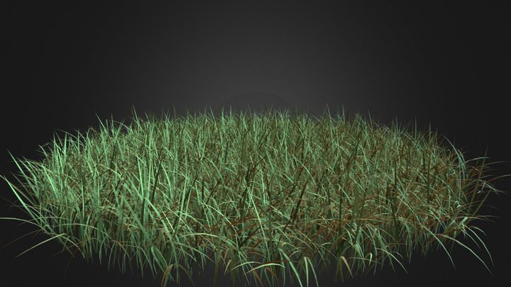 Tall Grass 3D Model 3D Model