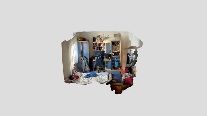 Polycam capture 3D Model