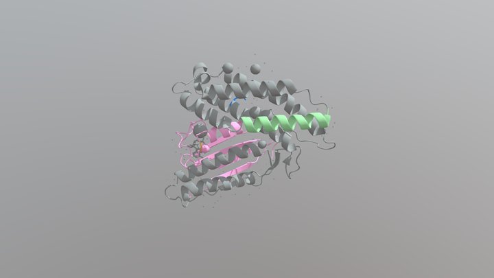 Initial protein target 1: BCKDK 3D Model