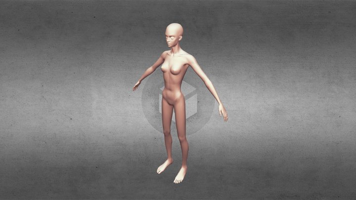 女性素模 3D Model