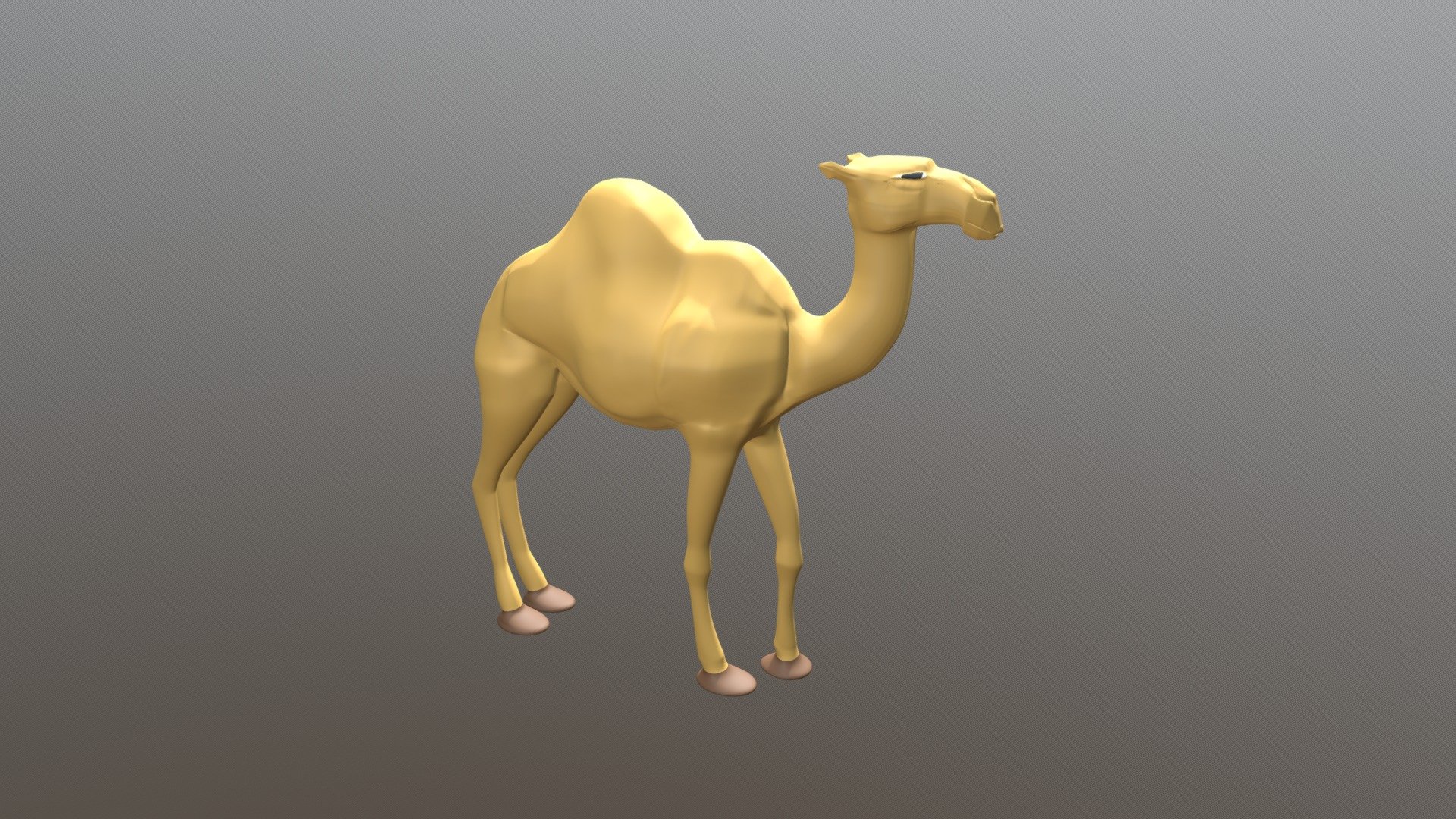 Camel