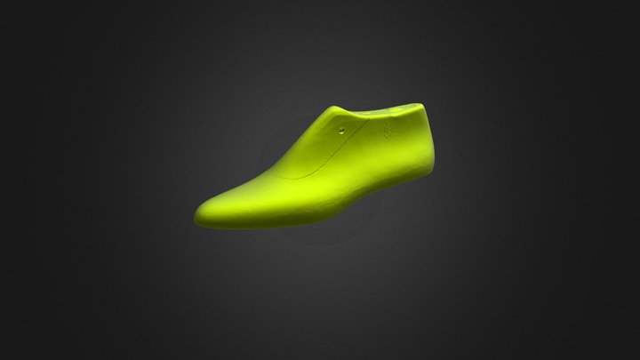 Horma zapato 3d 3D Model