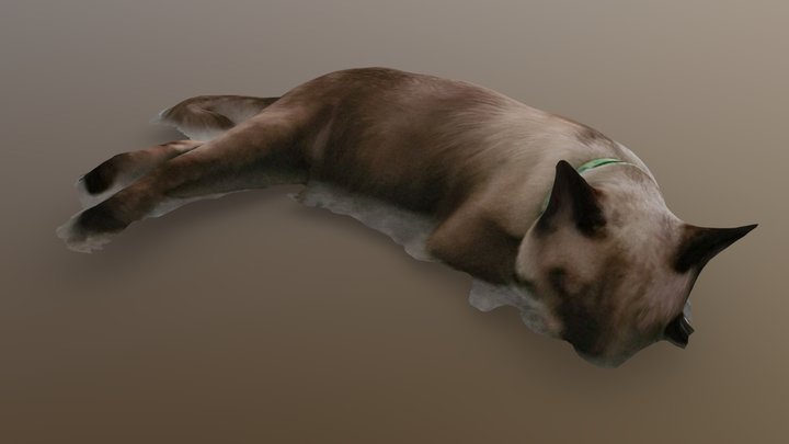 Coco 3D Model