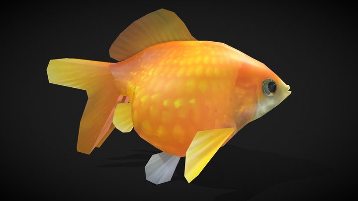 Pearl Goldfish 3D Model