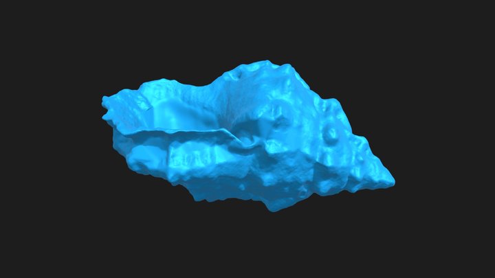Conch – Modello 3D gratuito STL