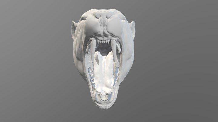 Lion's mouth Sculpt 3D Model