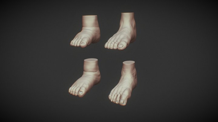 4 different feet with high and low poly 3D Model
