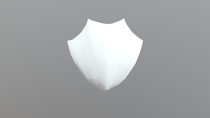 Shield Export Painted 3D Model