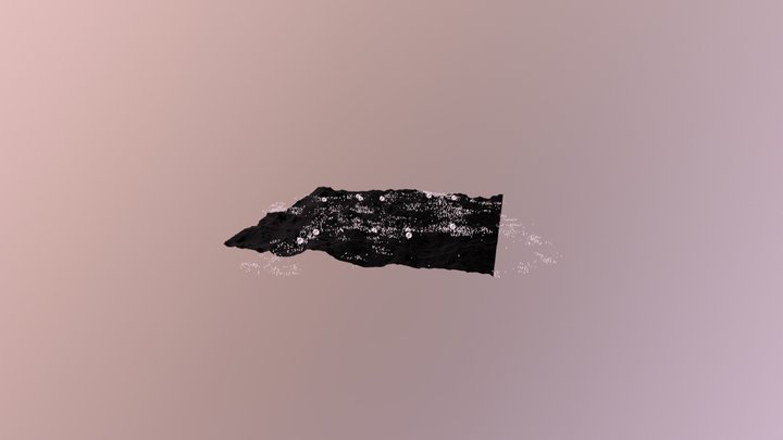 SampleScene 3D Model