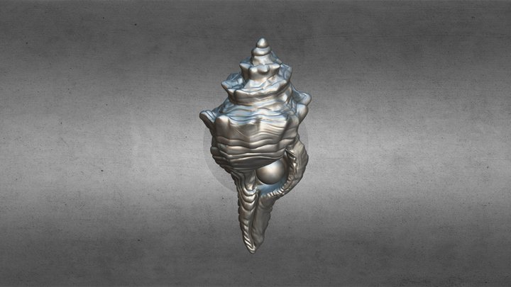 Stl 3D Model