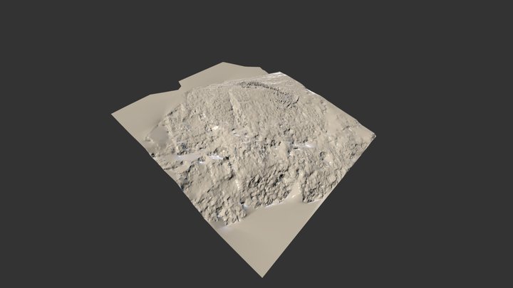 sFm Close Range Dirty Snow 3D Model