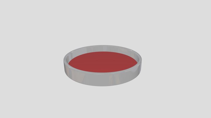 agarr 3D Model