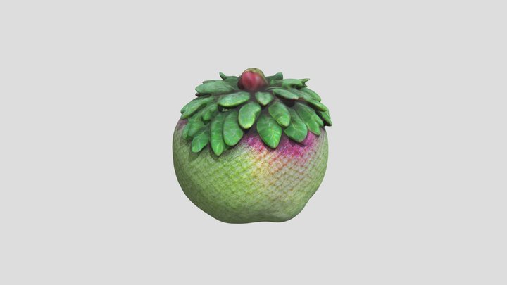 Exotic fruit 3