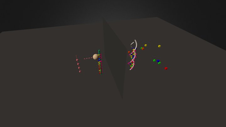 Central Dogma Project - Example Model 3D Model
