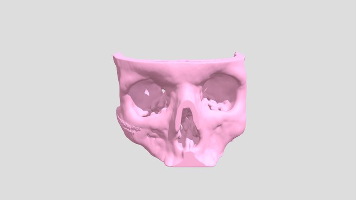 Skull03 3D Model