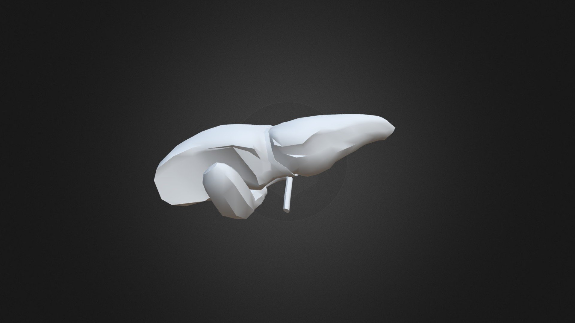 Liver