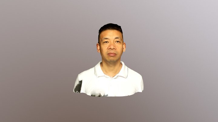 Bust 3D Model