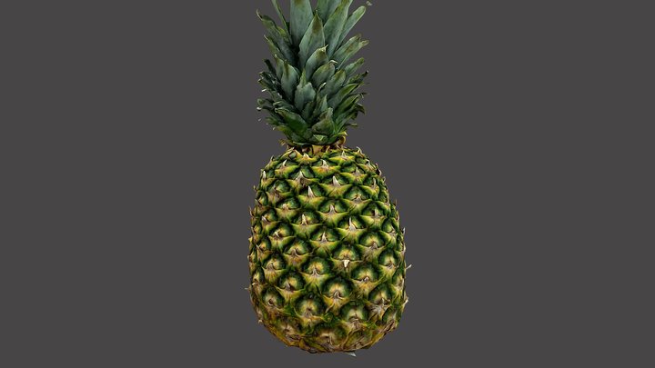 Pineapple (3D Scan) 3D Model