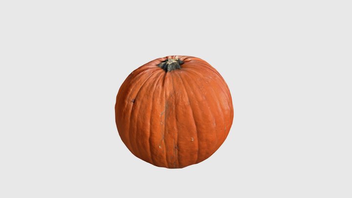 Pumpkin Scan 3D Model