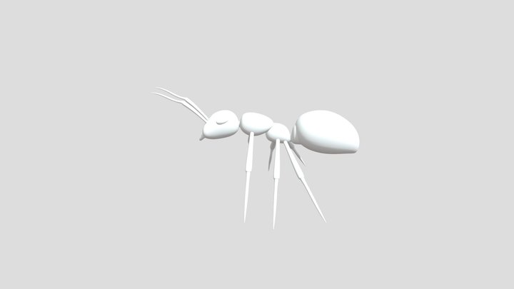 Rodrigo_Insecto 3D Model