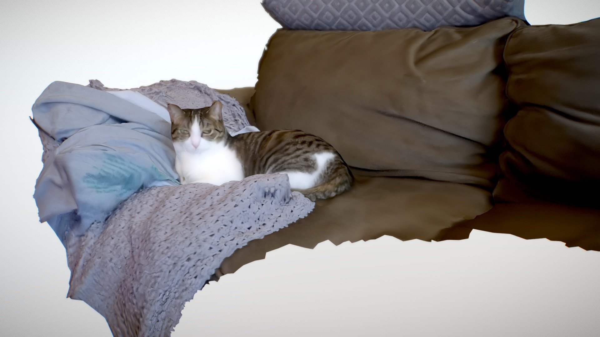 Photogrammetry Vignette: Cat on Couch - Download Free 3D model by ...