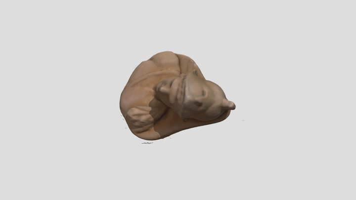 Ptolemy Cameo model 3D Model