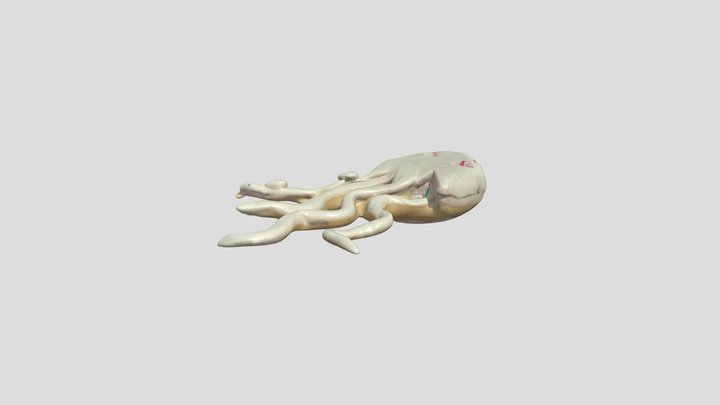 Lionsmane Jellyfish – Kostenloses 3D-Modell STL