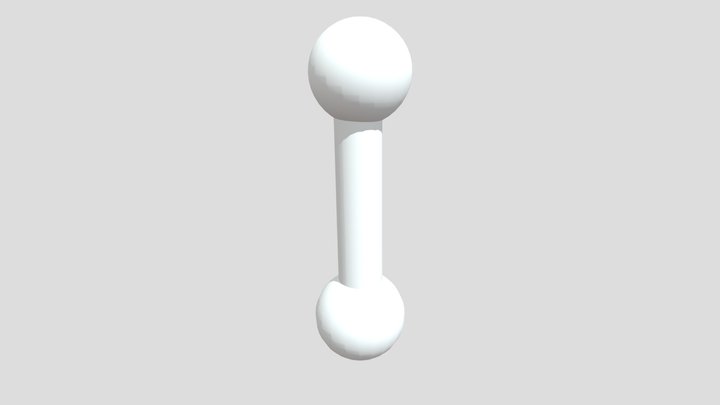 Haltere 3D Model