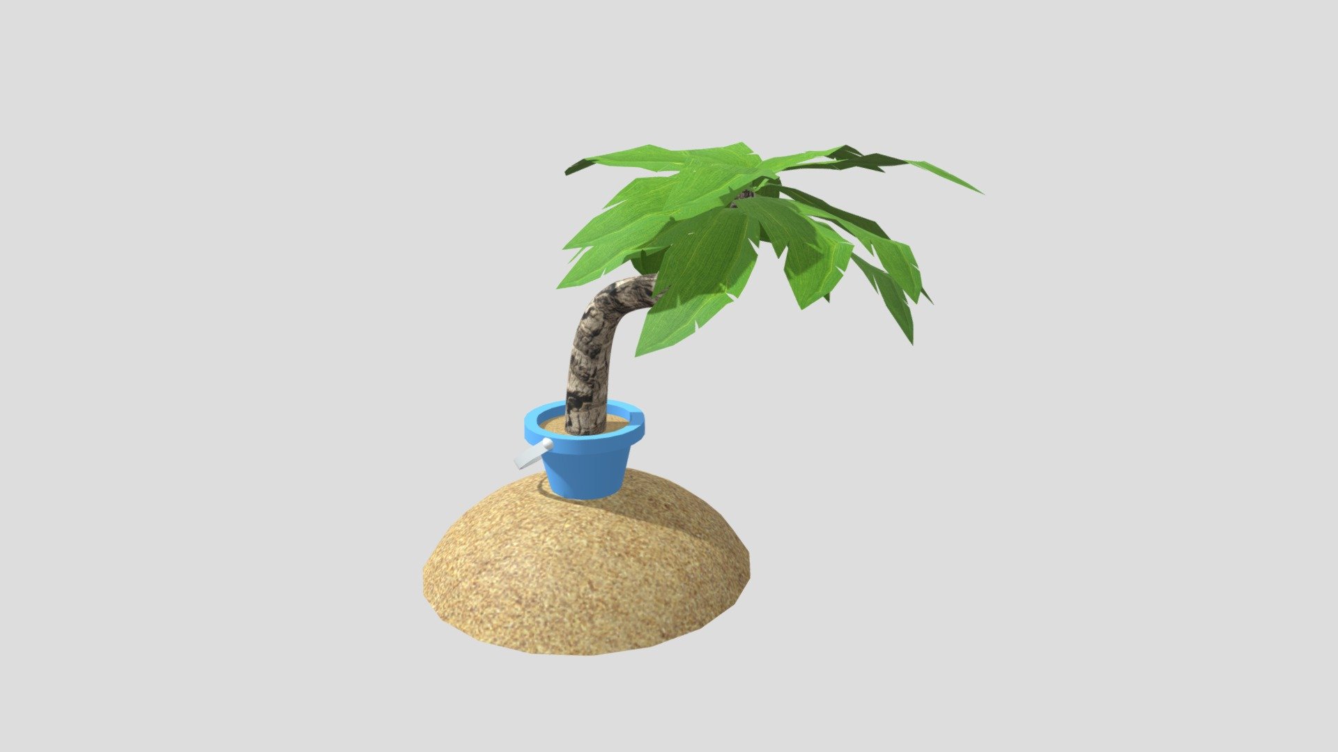 Week 9 - Beach Palm Tree Plant Model