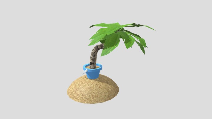 Week 9 - Beach Palm Tree Plant Model 3D Model