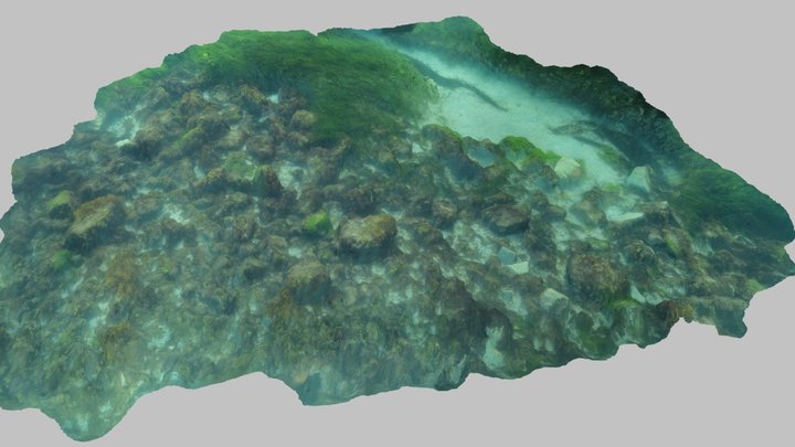Marine seafloor in Brittany 3D Model